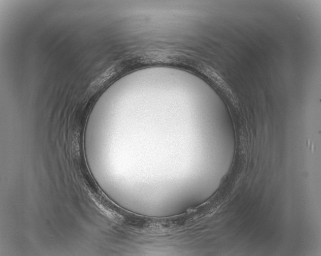 X0000077990489200611171758