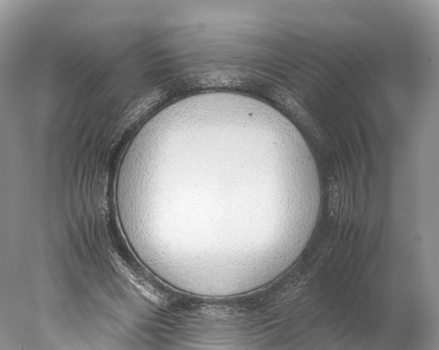 X0000077990490200611171758