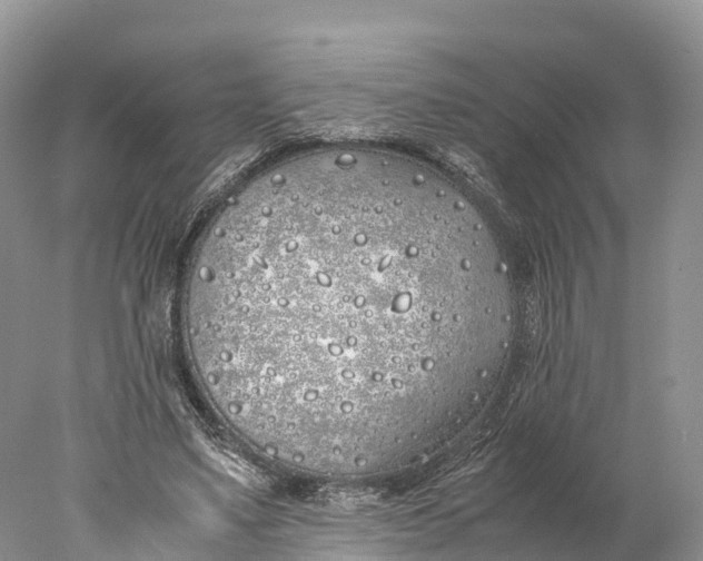 X0000077990491200611171758