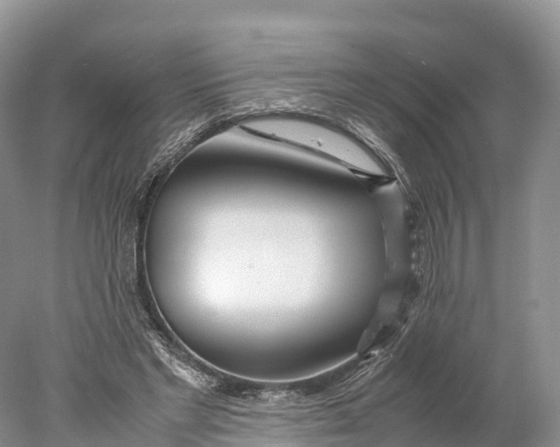 X0000077990493200611171758