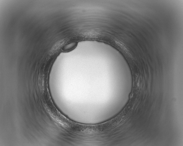 X0000077990494200611171758