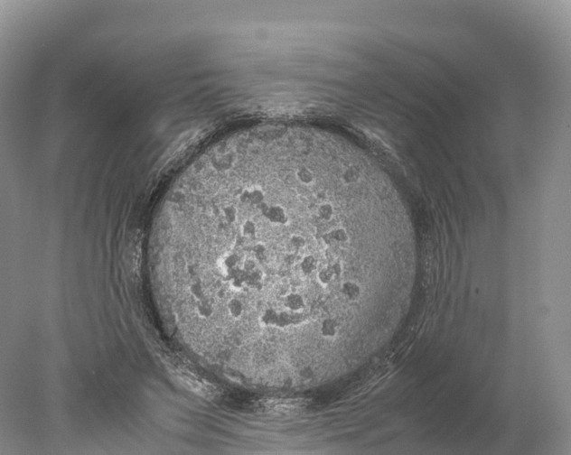 X0000077990495200611171758