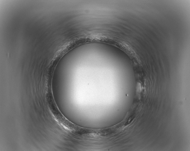 X0000077990496200611171758