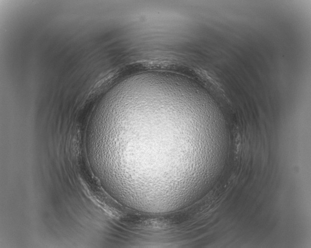 X0000077990498200611171758