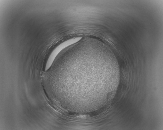 X0000077990499200611171758