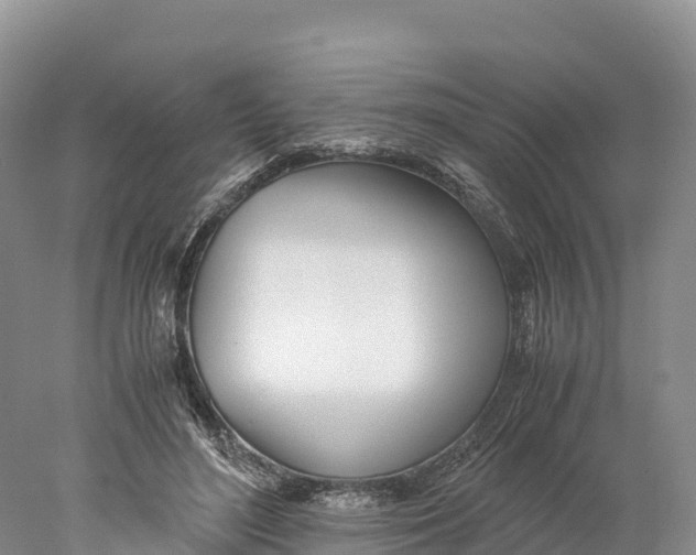 X0000077990500200611171758