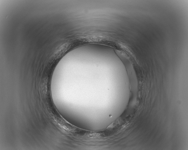 X0000077990501200611171758