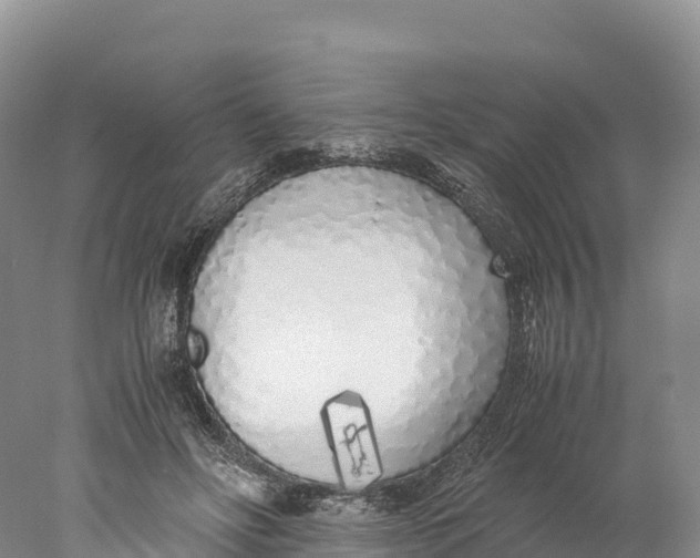 X0000077990502200611171758