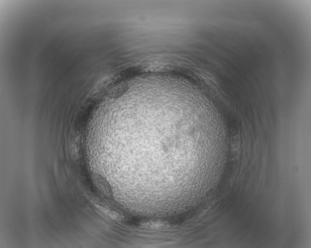 X0000077990503200611171758