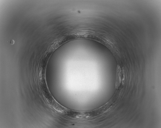 X0000077990504200611171758