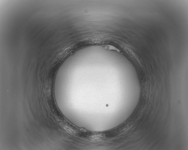 X0000077990505200611171758