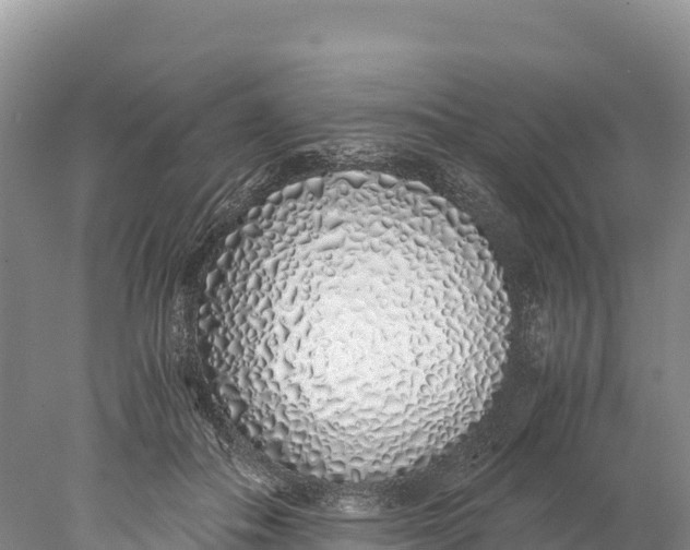 X0000077990506200611171758