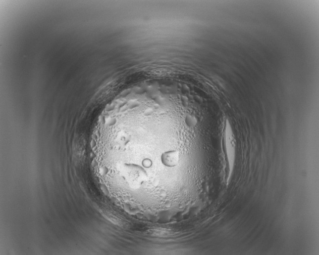 X0000077990507200611171758