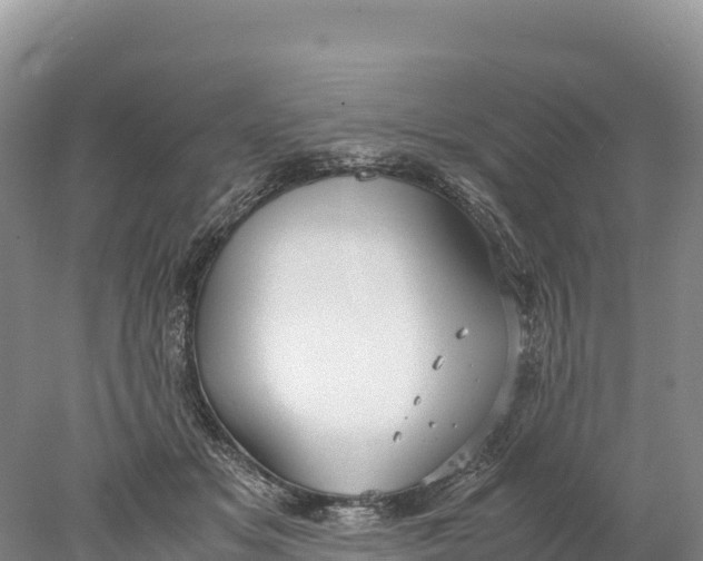 X0000077990509200611171758