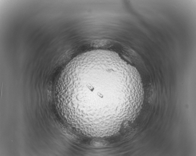 X0000077990510200611171758