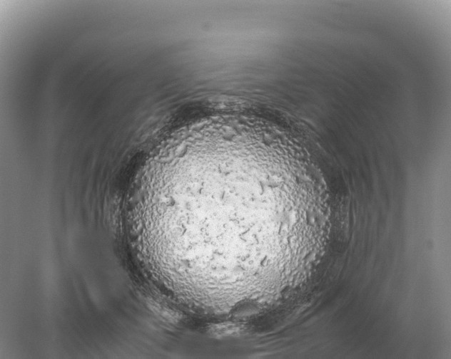 X0000077990511200611171758