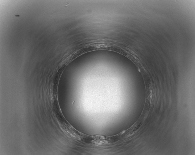 X0000077990512200611171758