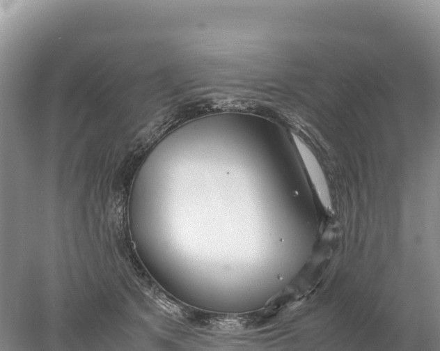 X0000077990513200611171758