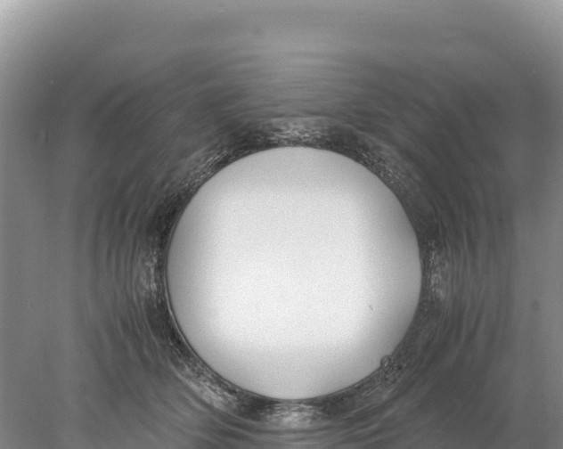 X0000077990514200611171758