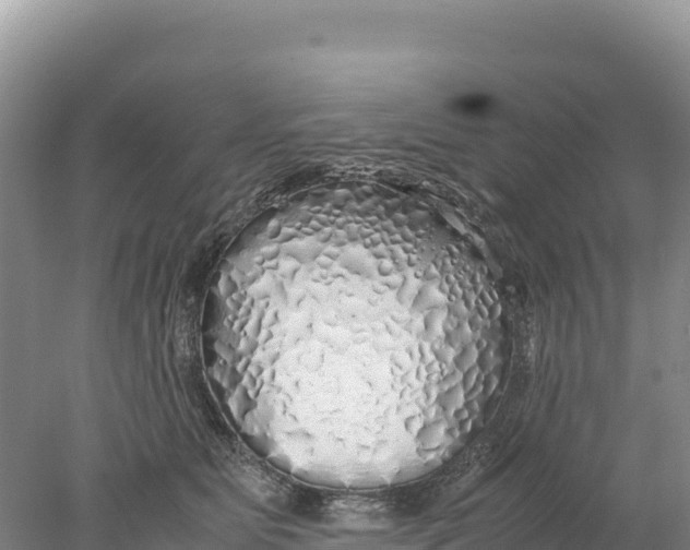 X0000077990515200611171758