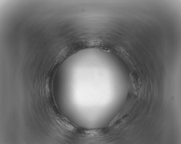 X0000077990516200611171758