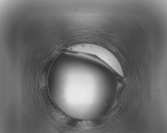 X0000077990517200611171758