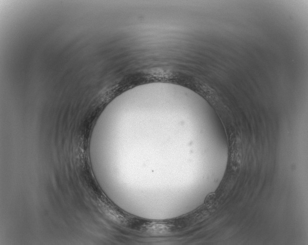 X0000077990518200611171758