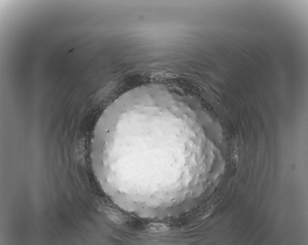 X0000077990519200611171758