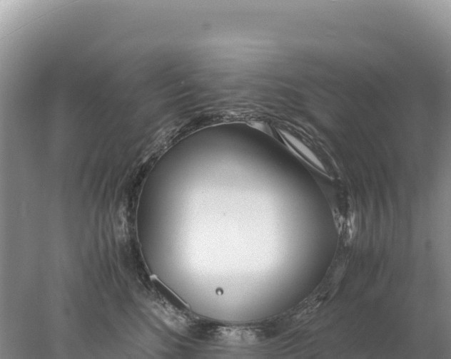 X0000077990520200611171758