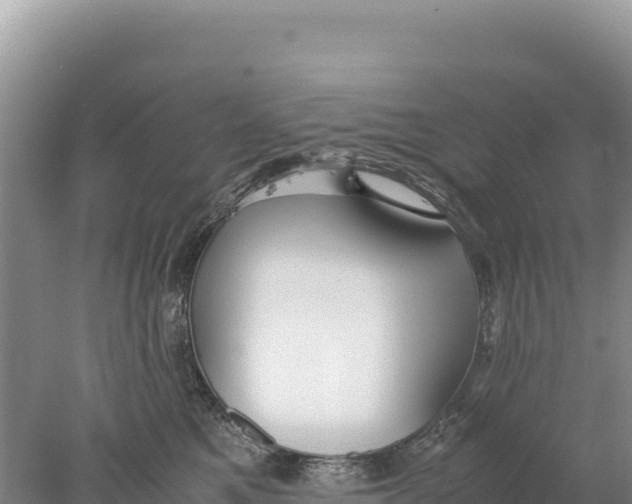 X0000077990521200611171758