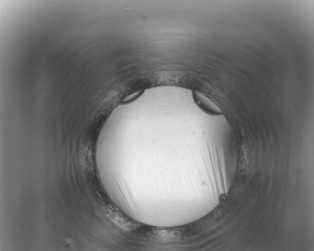 X0000077990522200611171758