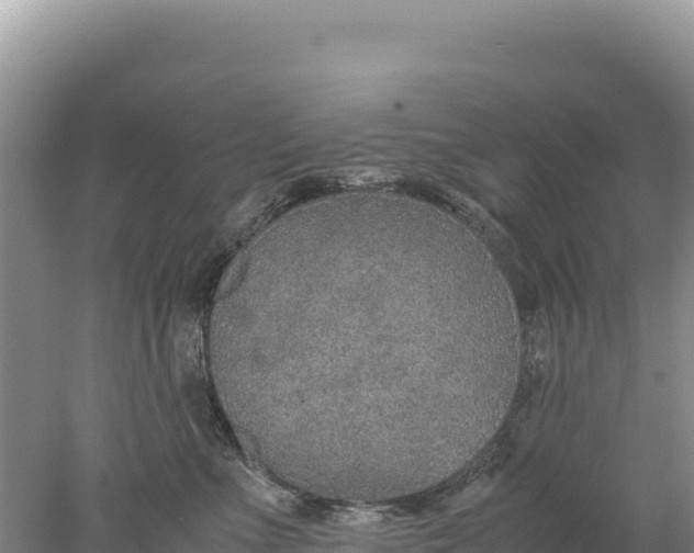 X0000077990523200611171758