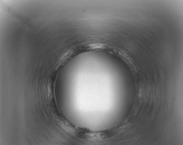 X0000077990524200611171758