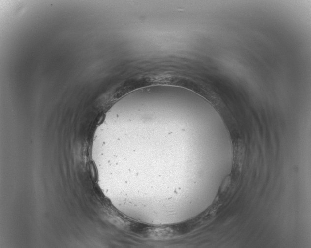 X0000077990525200611171758