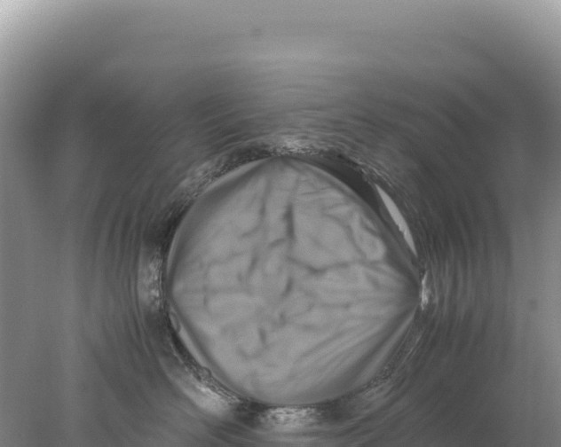 X0000077990526200611171758