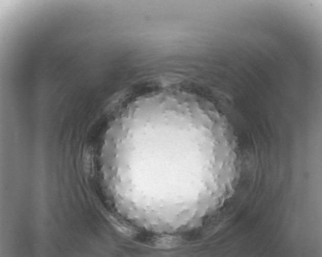 X0000077990527200611171758