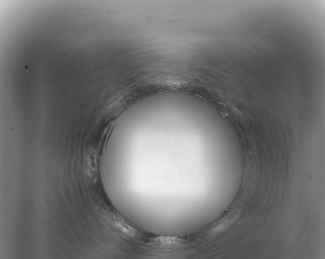 X0000077990528200611171758