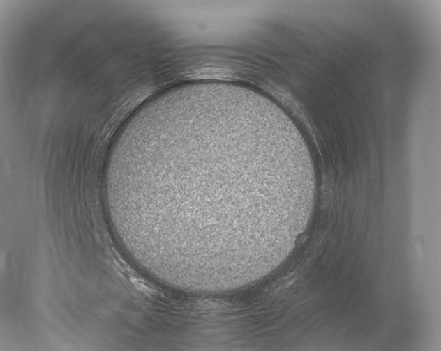 X0000077990529200611171757