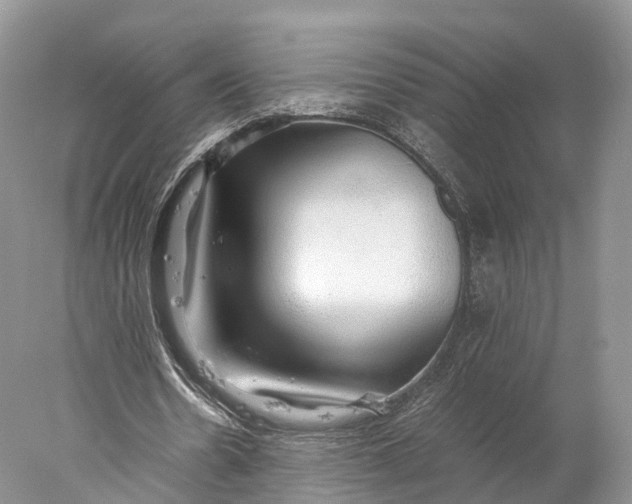 X0000077990530200611171757