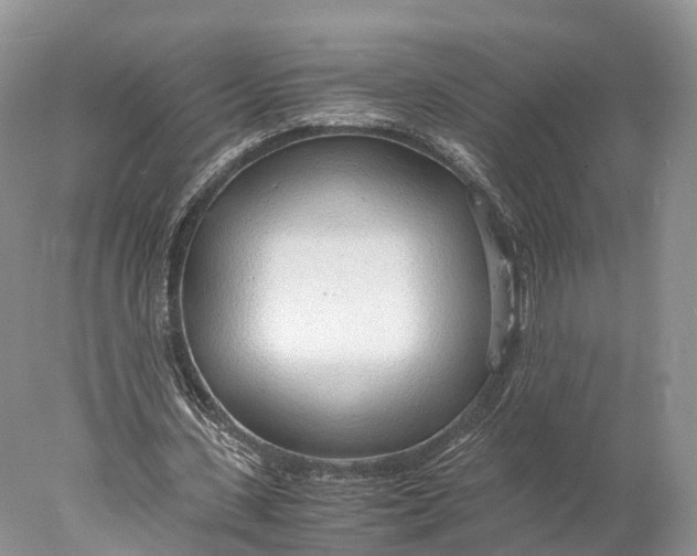 X0000077990531200611171757