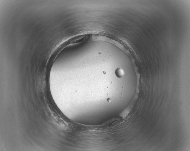 X0000077990532200611171757