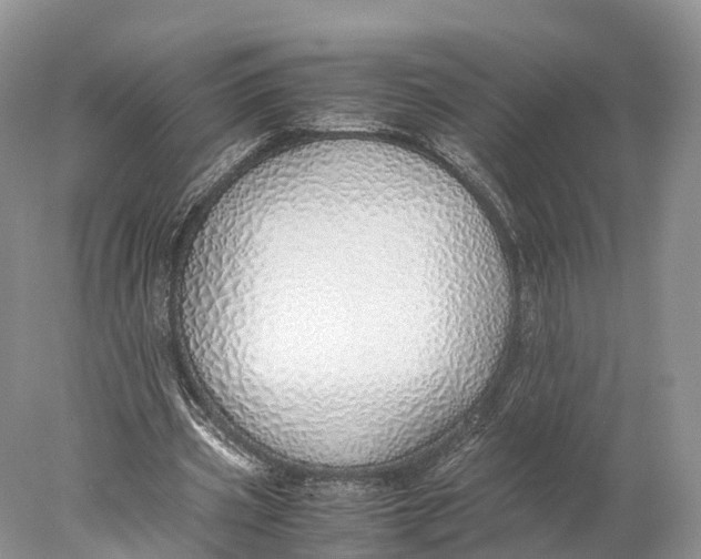 X0000077990533200611171757