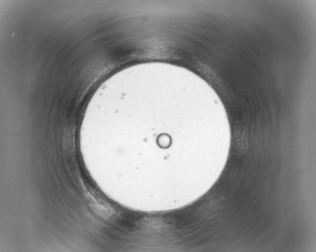 X0000077990534200611171757