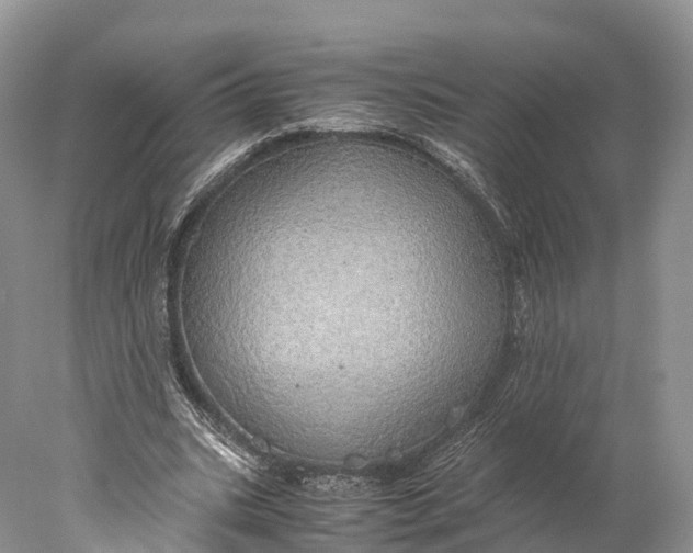 X0000077990535200611171757