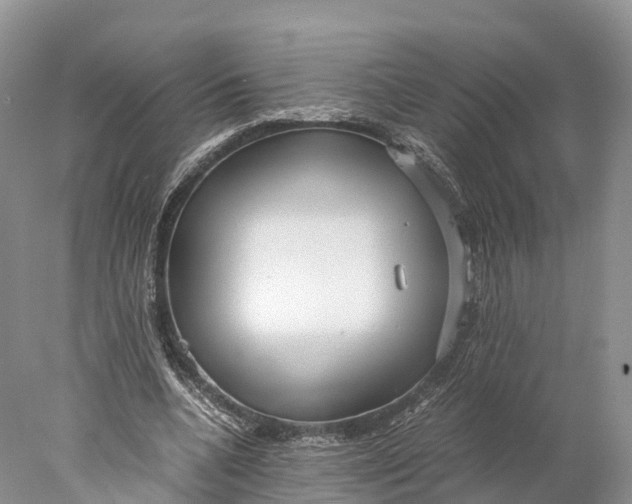 X0000077990536200611171757