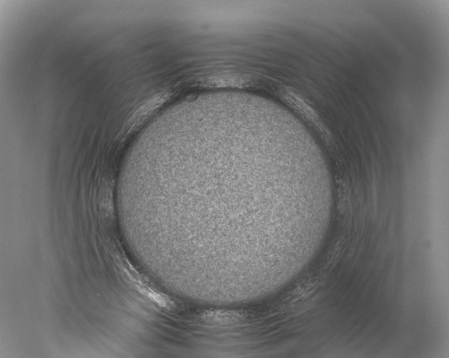 X0000077990537200611171757