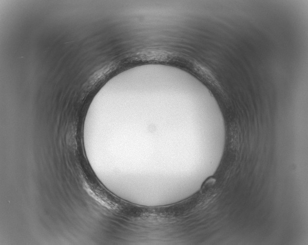 X0000077990538200611171757