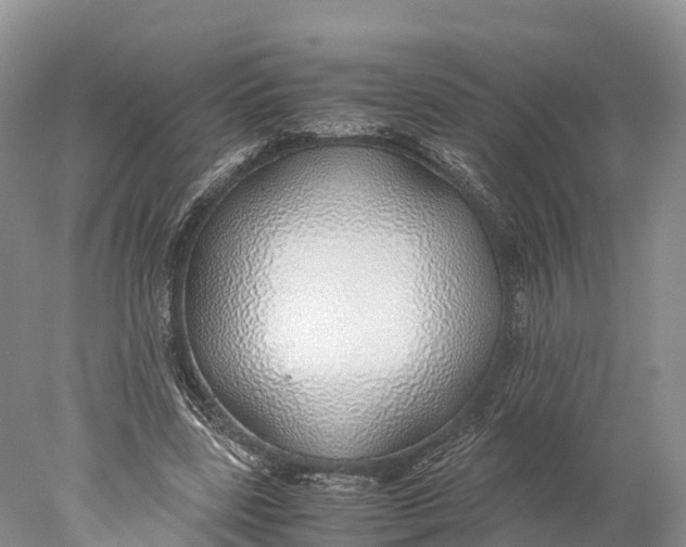 X0000077990539200611171757