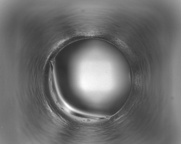 X0000077990540200611171757