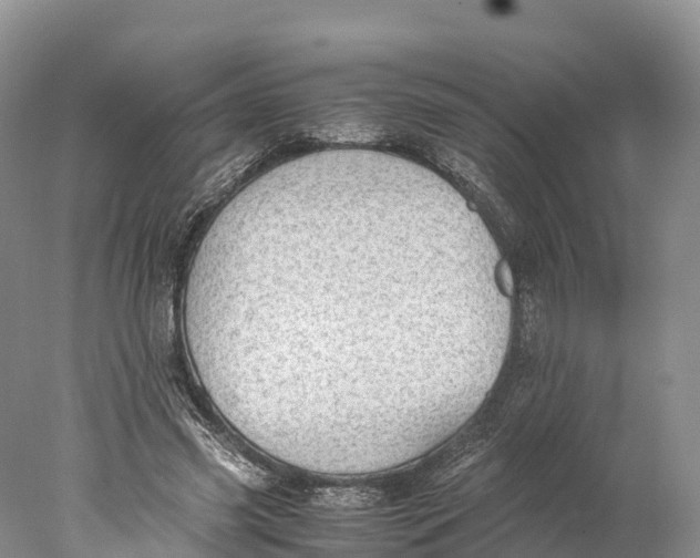 X0000077990541200611171757